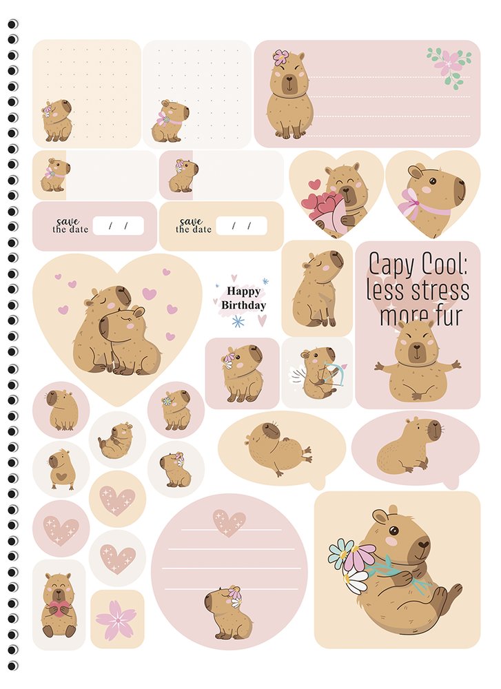 Caderno Universitário Espiral 1 Matéria Capivara 80 Folhas Sortido Capa Dura 20x27cm